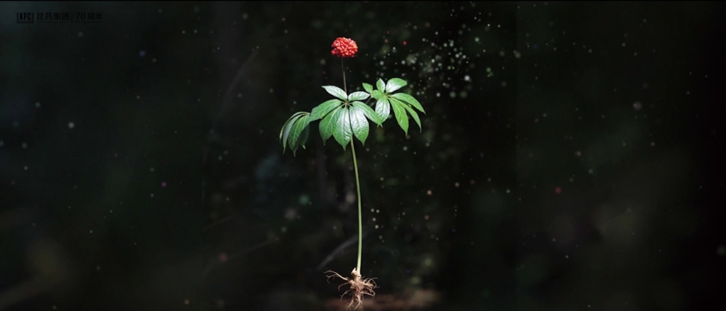 聽，三七在說話